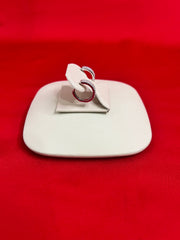 Pure Silver Hoops Earrings (HE29)