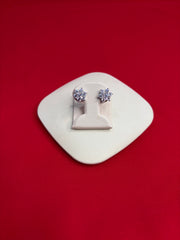 Pure Silver Stud Earrings (SE150)