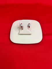 Pure Silver Hoops Earrings (HE24)