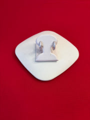 Pure Silver Hoops Earrings (HE81)