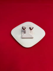 Pure Silver Stud Earrings (SE138)