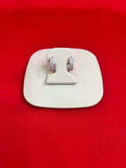 Pure Silver Hoops Earrings (HE29)