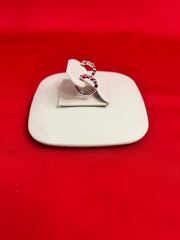 Pure Silver Hoops Earrings (HE16)