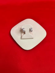 Pure Silver Hoops Earrings (HE66)