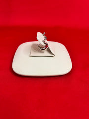 Pure Silver Hoops Earrings (SE1)