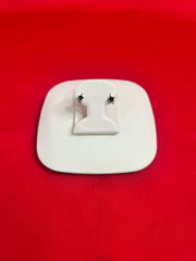 Mini Pure Silver Upper Lob Hoops Earrings (Np1)