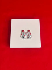 Pure Silver Laxmi Charan For NewHome & New Business 🎁🏠