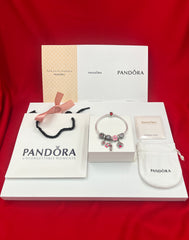 Authentic Pandora 7 Charms Bracelets
