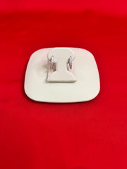 Pure Silver Hoops Earrings (HE23)