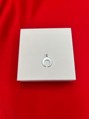 Pure Silver Moon 🌙