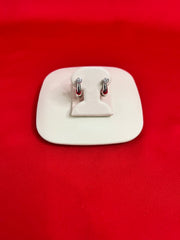 Pure Silver Hoops Earrings (SE1)