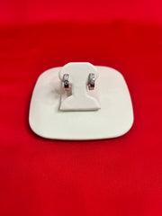 Pure Silver Hoops Earrings (HE46)