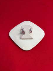 Pure Silver Hoops Earrings (HE115)