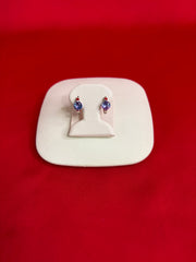 Pure Silver Hoops Earrings (HE53)
