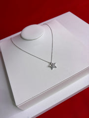 Pure Silver Pendant Necklace (WN165)