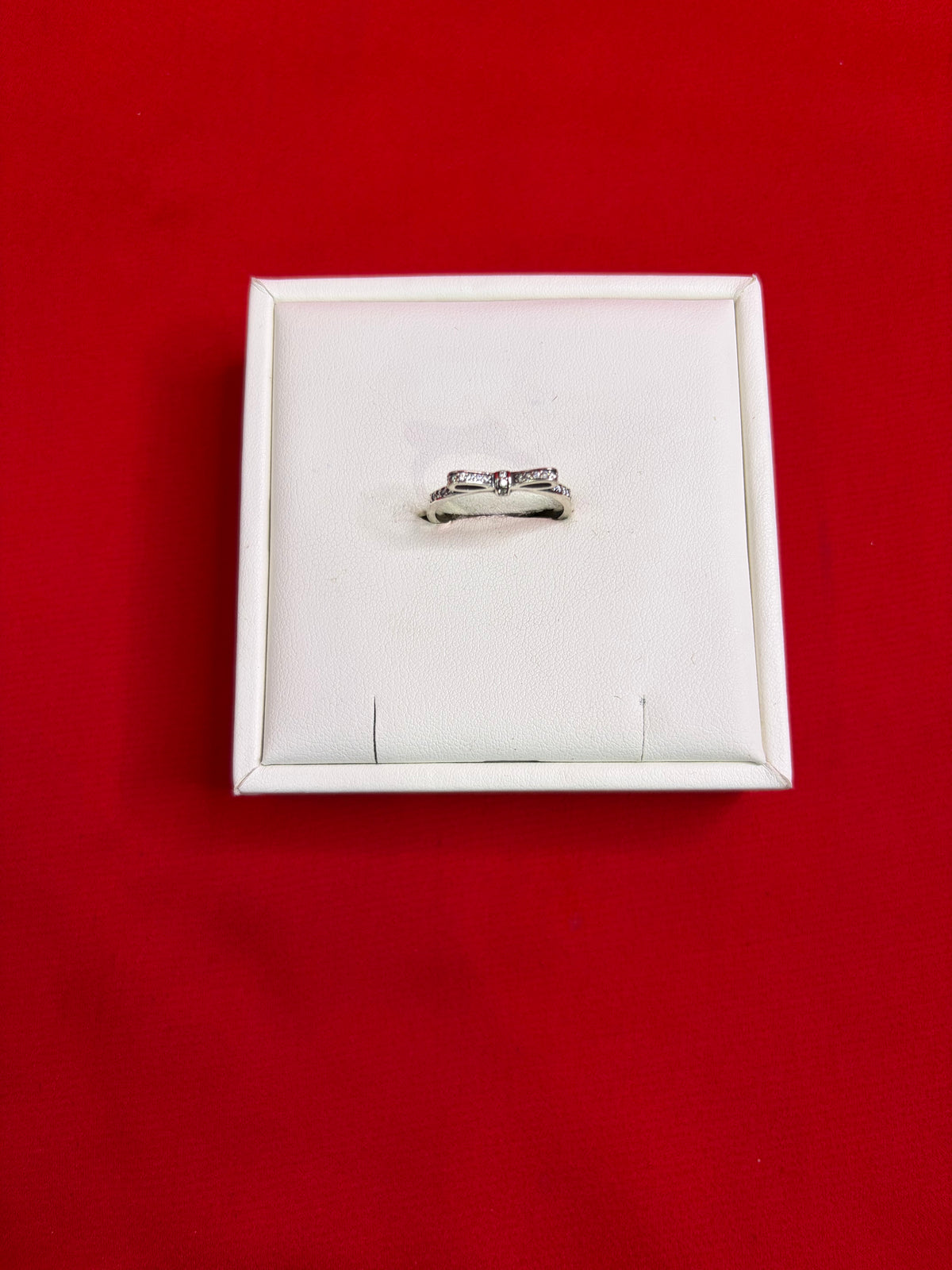 Pure Silver Women’s Ring (Size 9) WR225