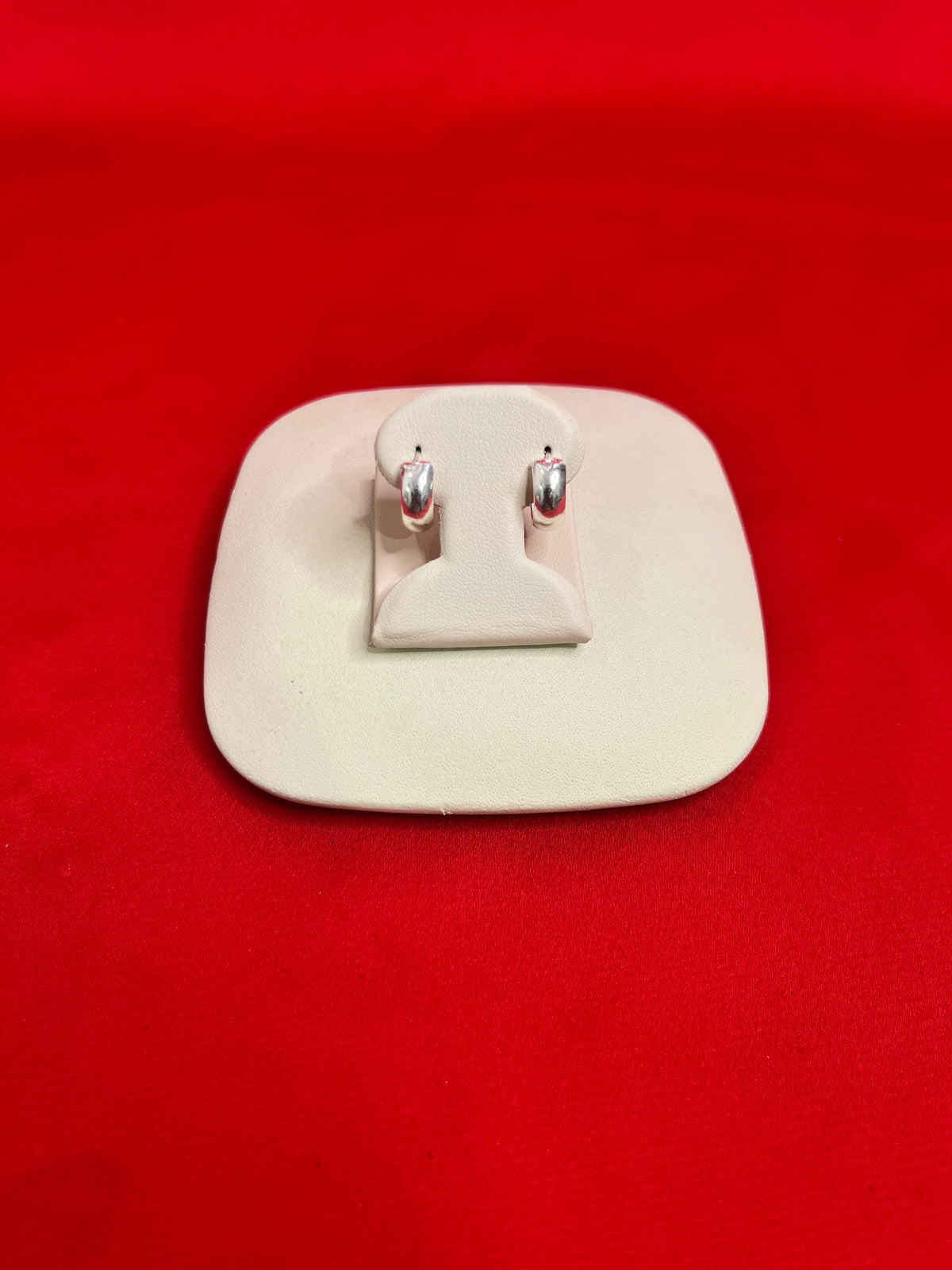 Pure Silver Hoops Earrings (HE76)