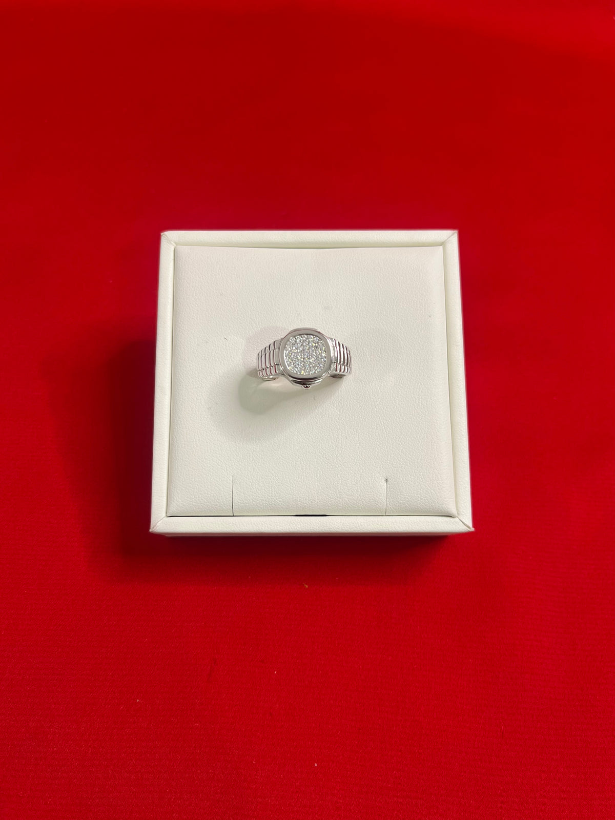 Men Silver Ring (Size 11) MR48