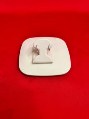 Pure Silver Hoops Earrings (HE74)