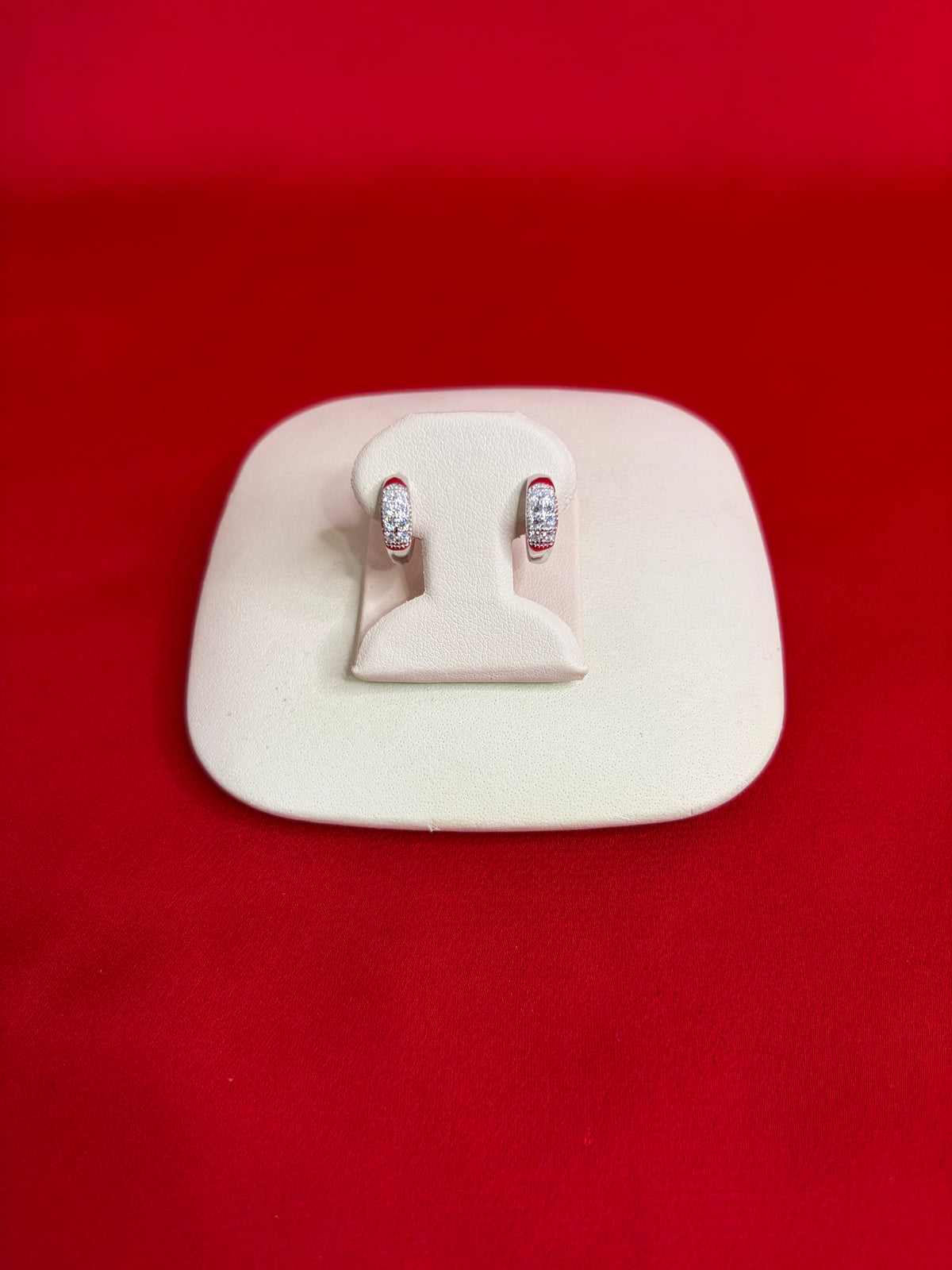 Pure Silver Hoops Earrings (HE60)