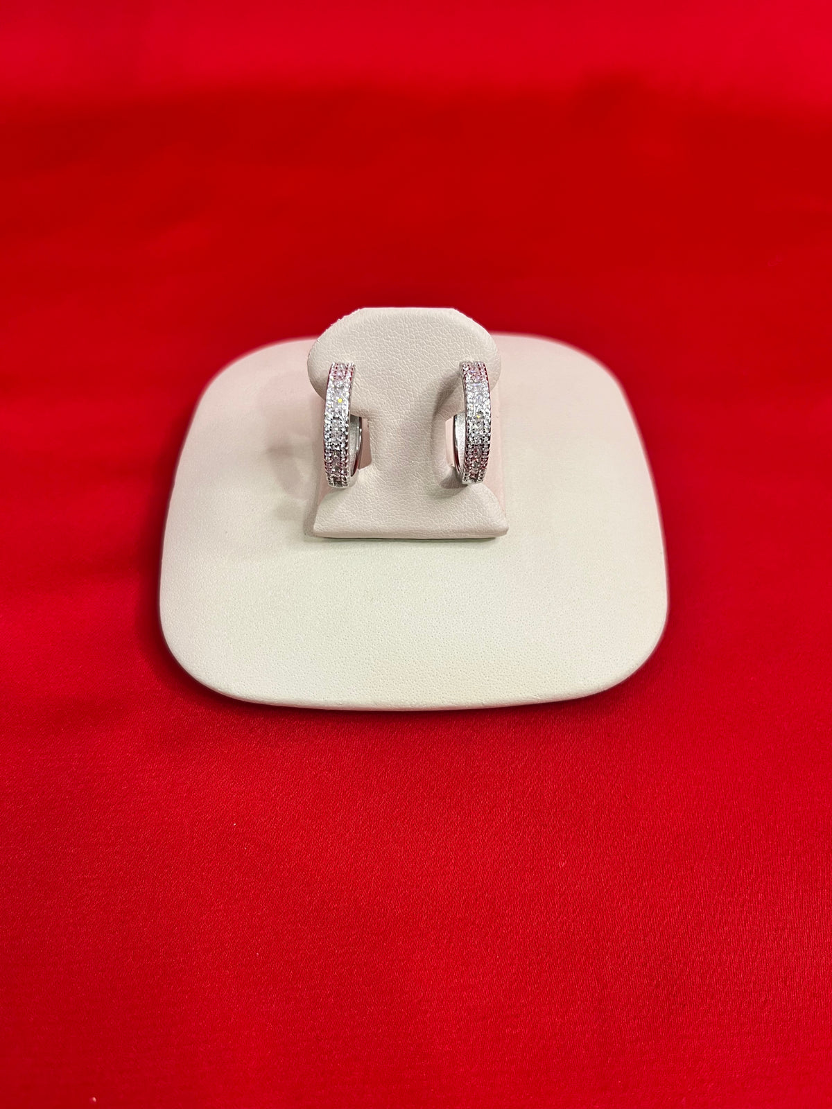 Pure Silver Hoops Earrings (HE39)