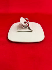 Pure Silver Hoops Earrings (HE14)