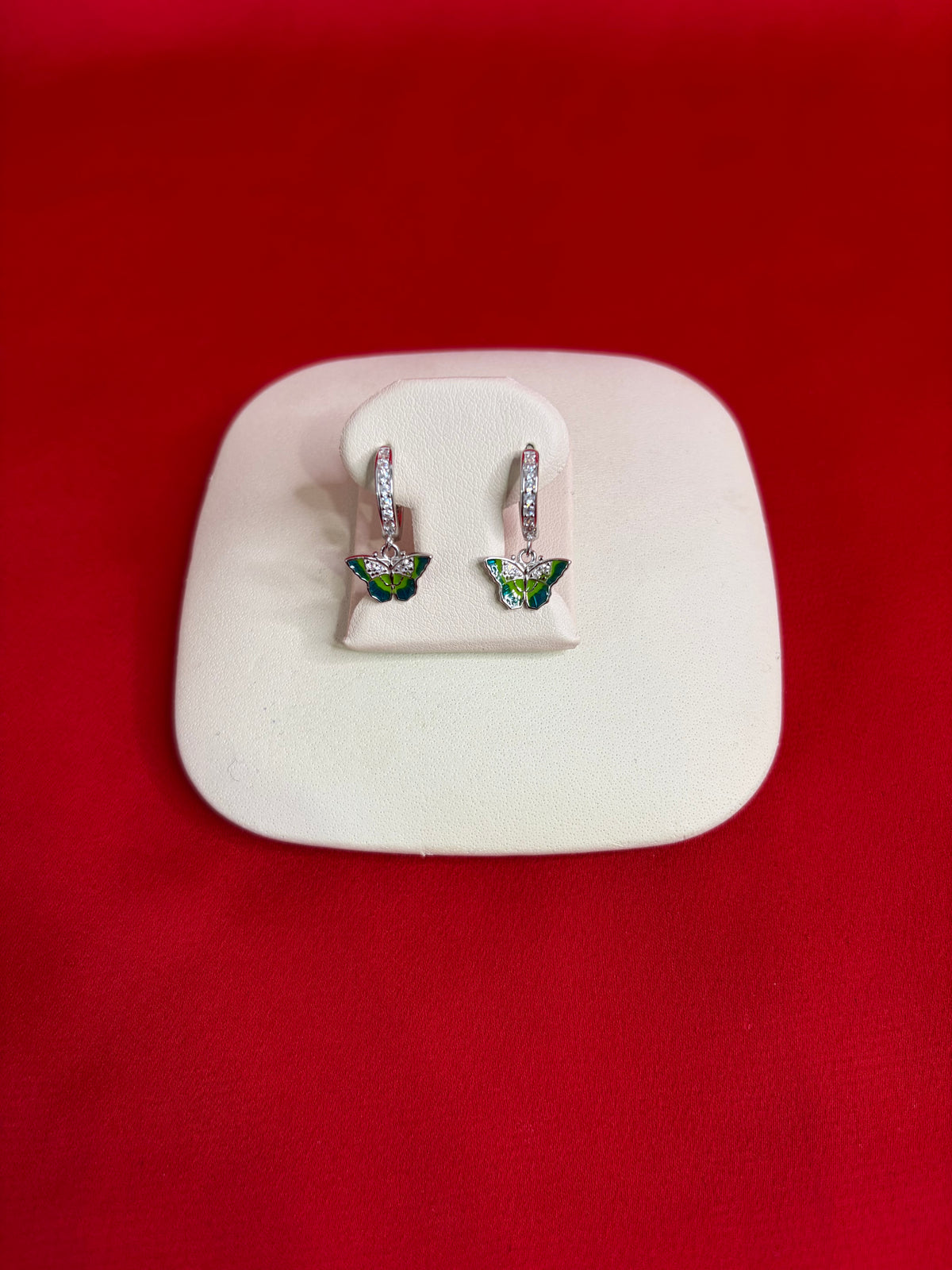 Pure Silver Hoops Earrings (HE51)