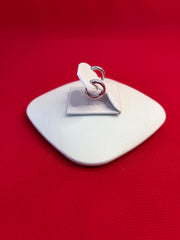 Pure Silver Hoops Earrings (HE86)