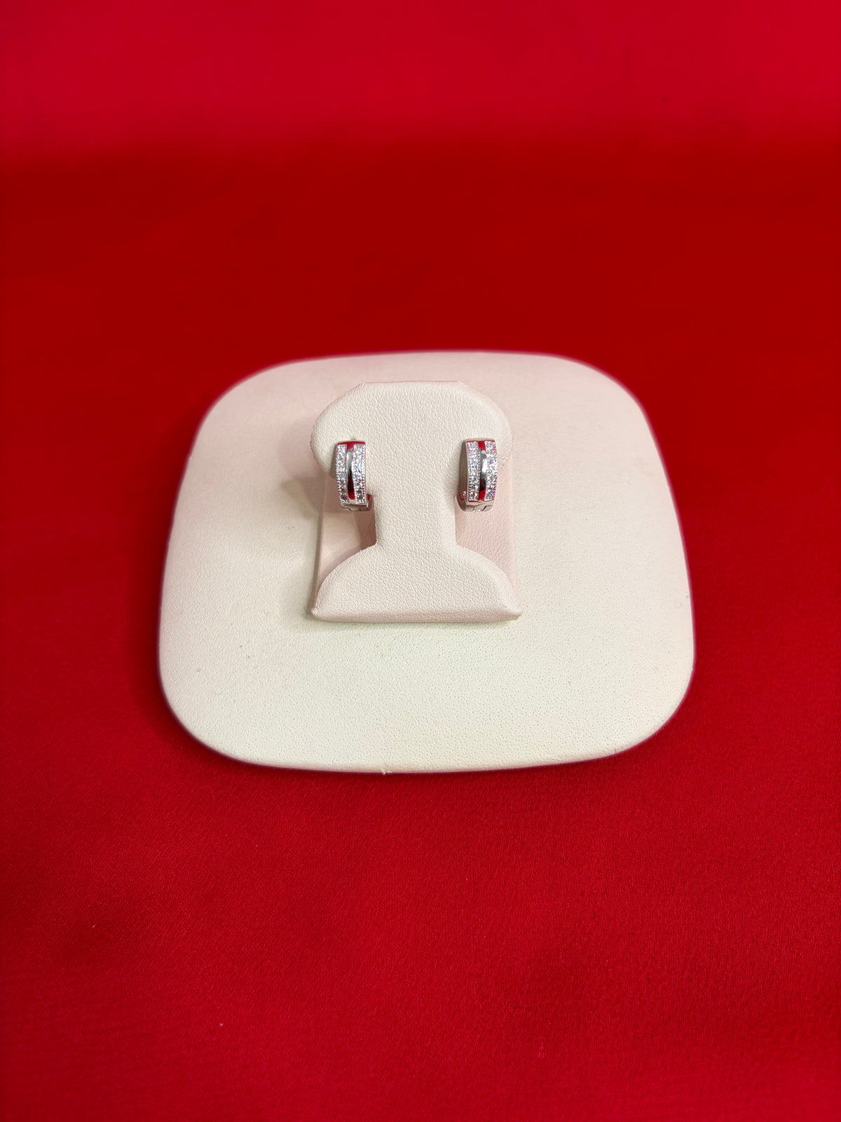 Pure Silver Hoops Earrings (HE64)