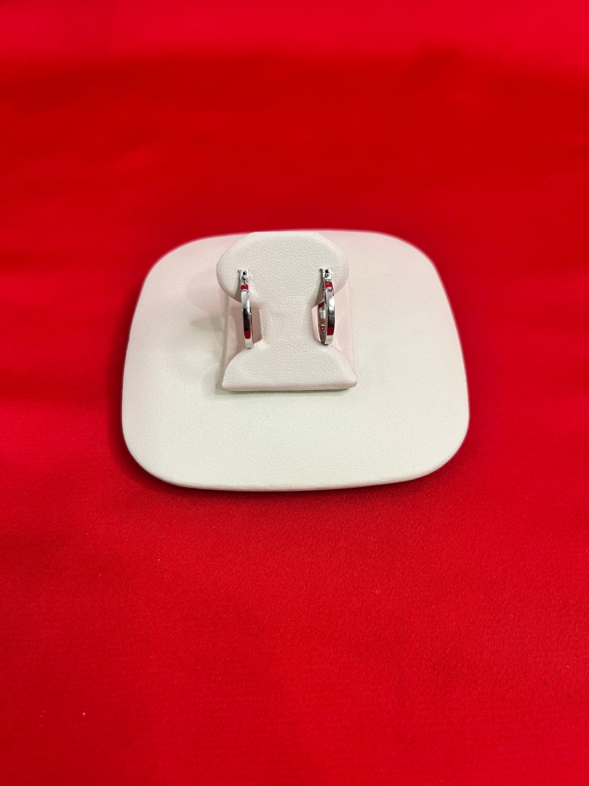 Pure Silver Hoops Earrings (HE45)