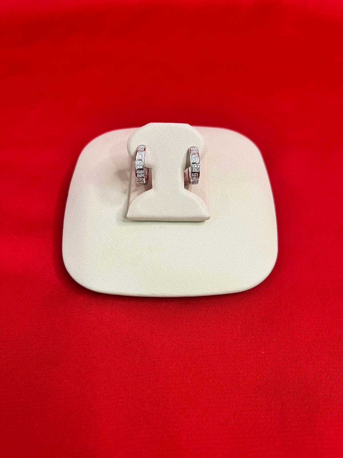 Pure Silver Hoops Earrings (HE4)