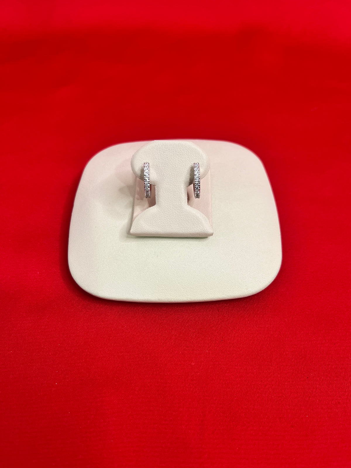 Pure Silver Hoops Earrings (HE22)