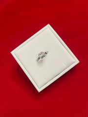 Pure Silver Ring (Size 5) WR69