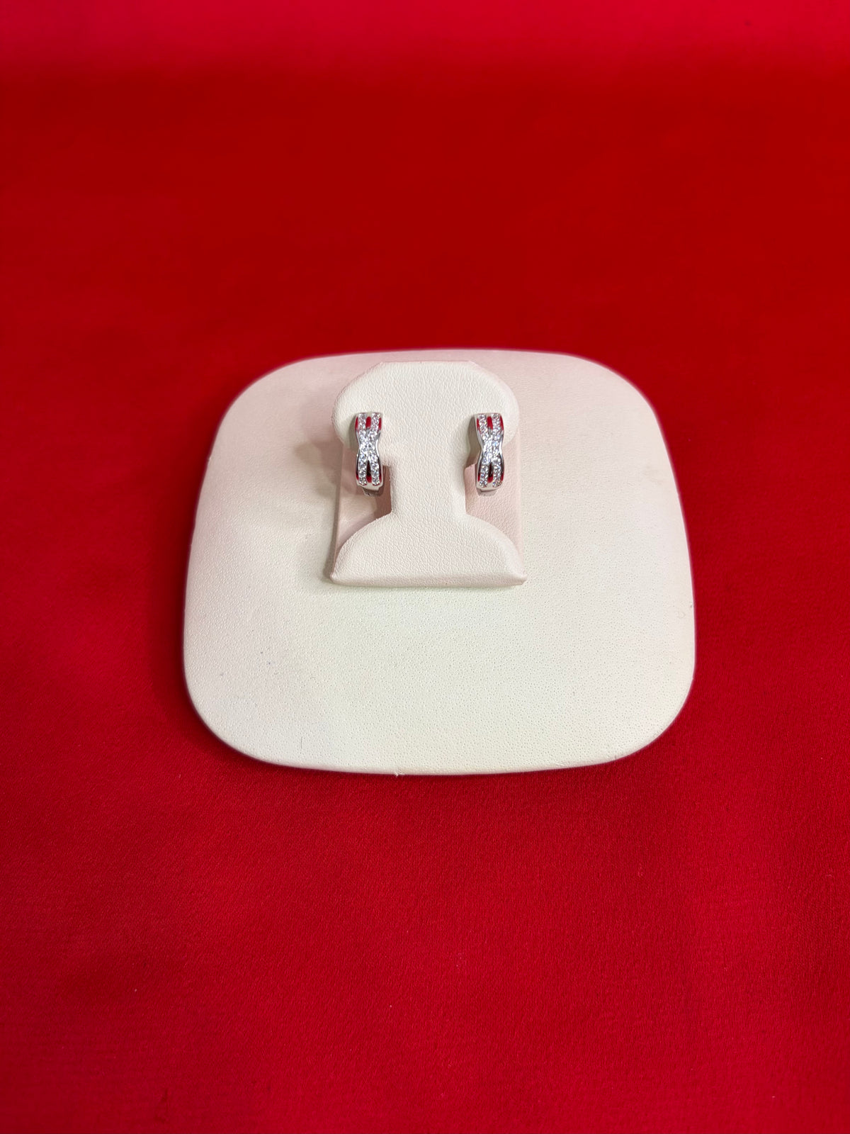 Pure Silver Hoops Earrings (HE48)