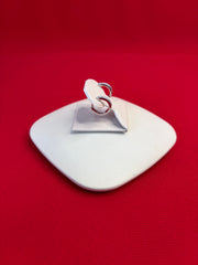Pure Silver Hoops Earrings (HE81)