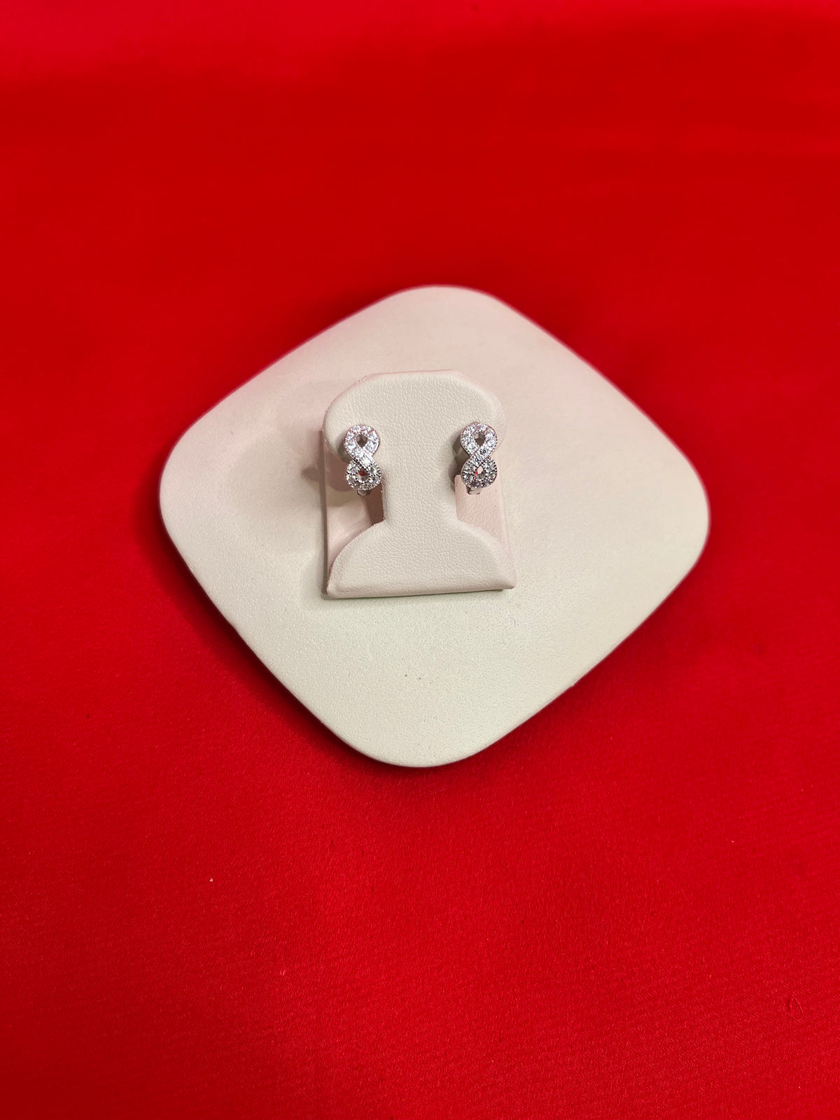 Pure Silver Hoops Earrings (HE66)