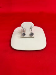 Pure Silver Hoops Earrings (HE41)