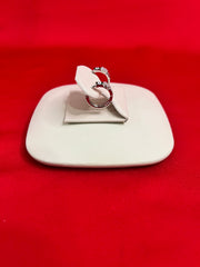 Pure Silver Hoops Earrings (HE20)