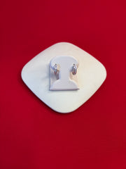 Pure Silver Hoops Earrings (HE80)