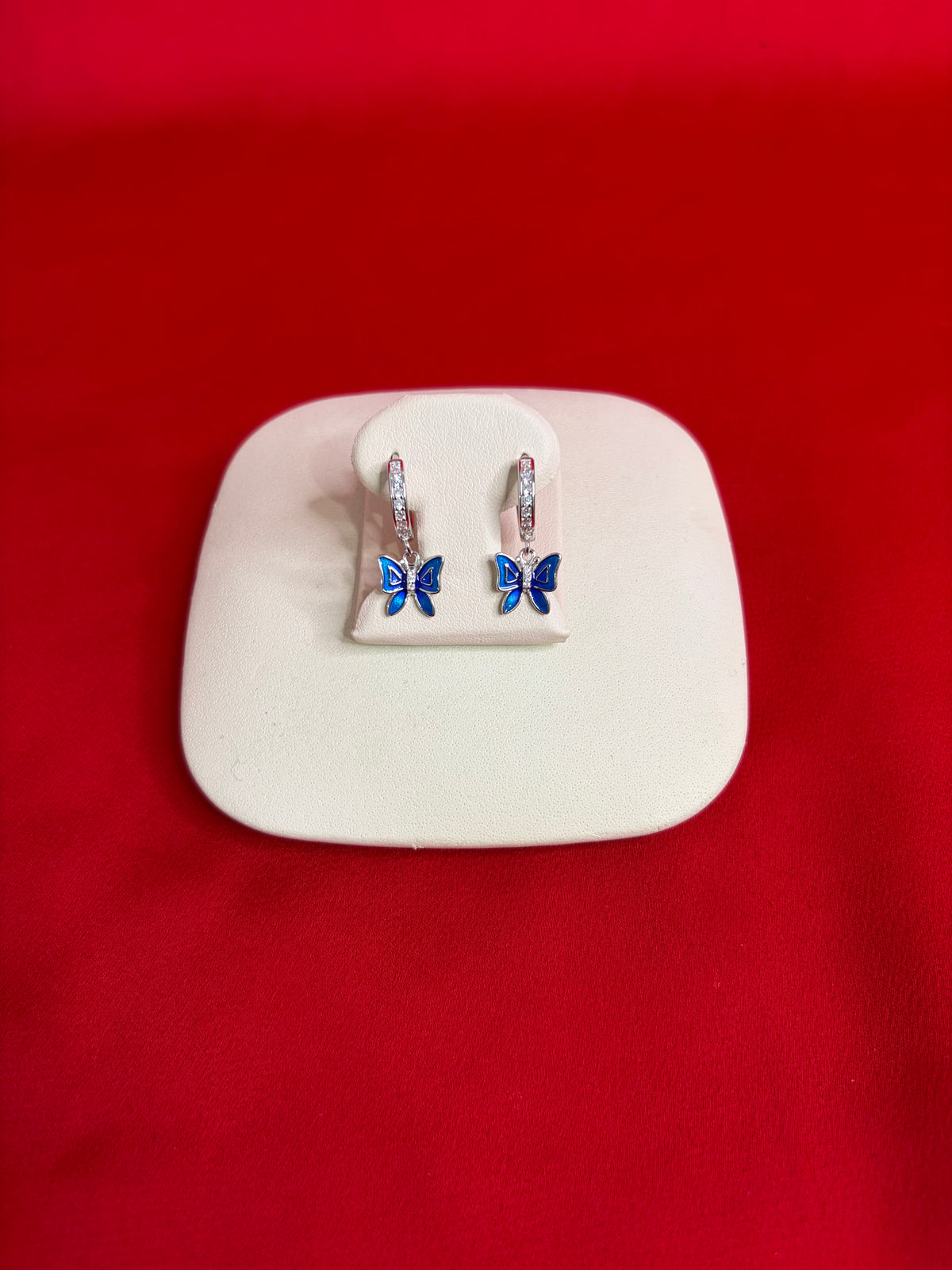 Pure Silver Hoops Earrings (HE50)