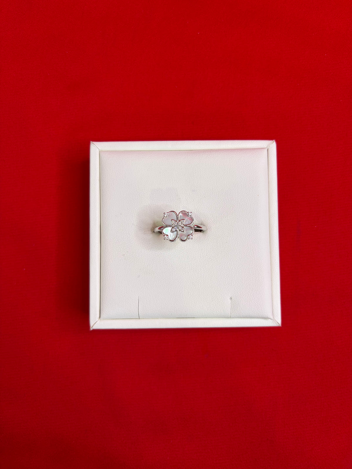 Pure Silver Women’s Ring (Size 8) WR209