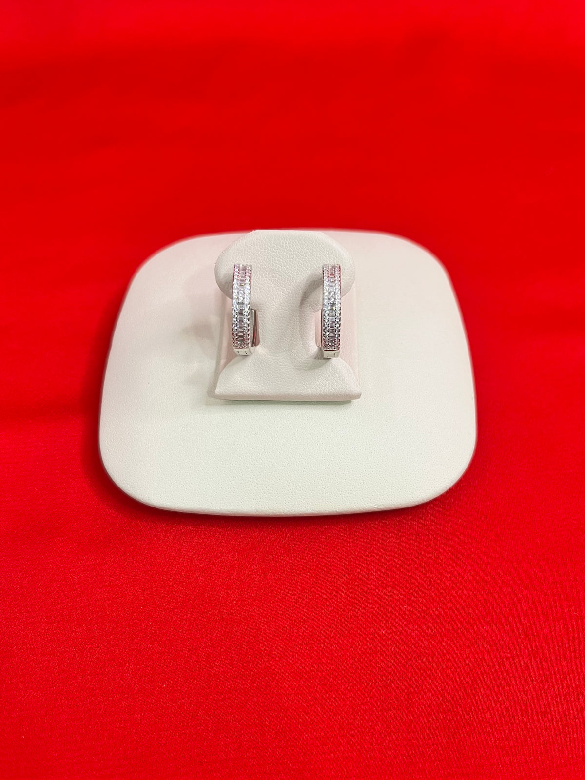 Pure Silver Hoops Earrings (HE33)