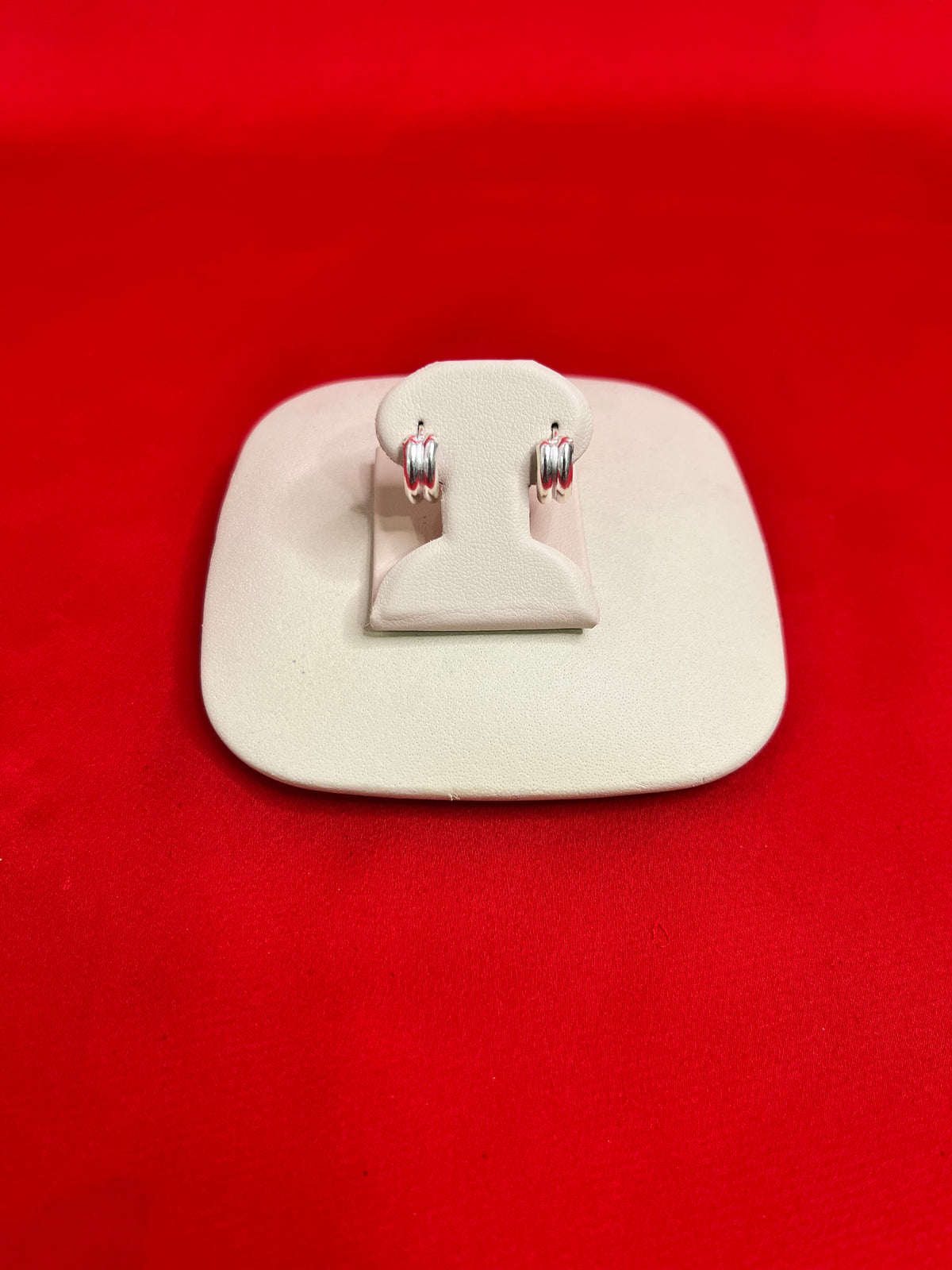 Pure Silver Hoops Earrings (HE75)