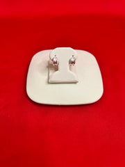 Pure Silver Hoops Earrings (HE75)