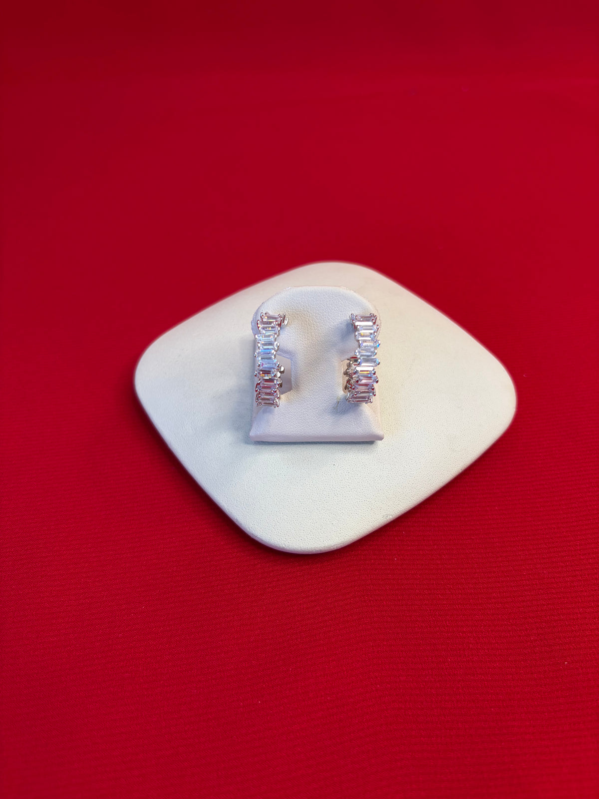Pure Silver Hoops Earrings (HE79)