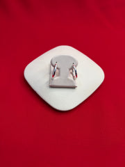 Pure Silver Hoops Earrings (HE78)
