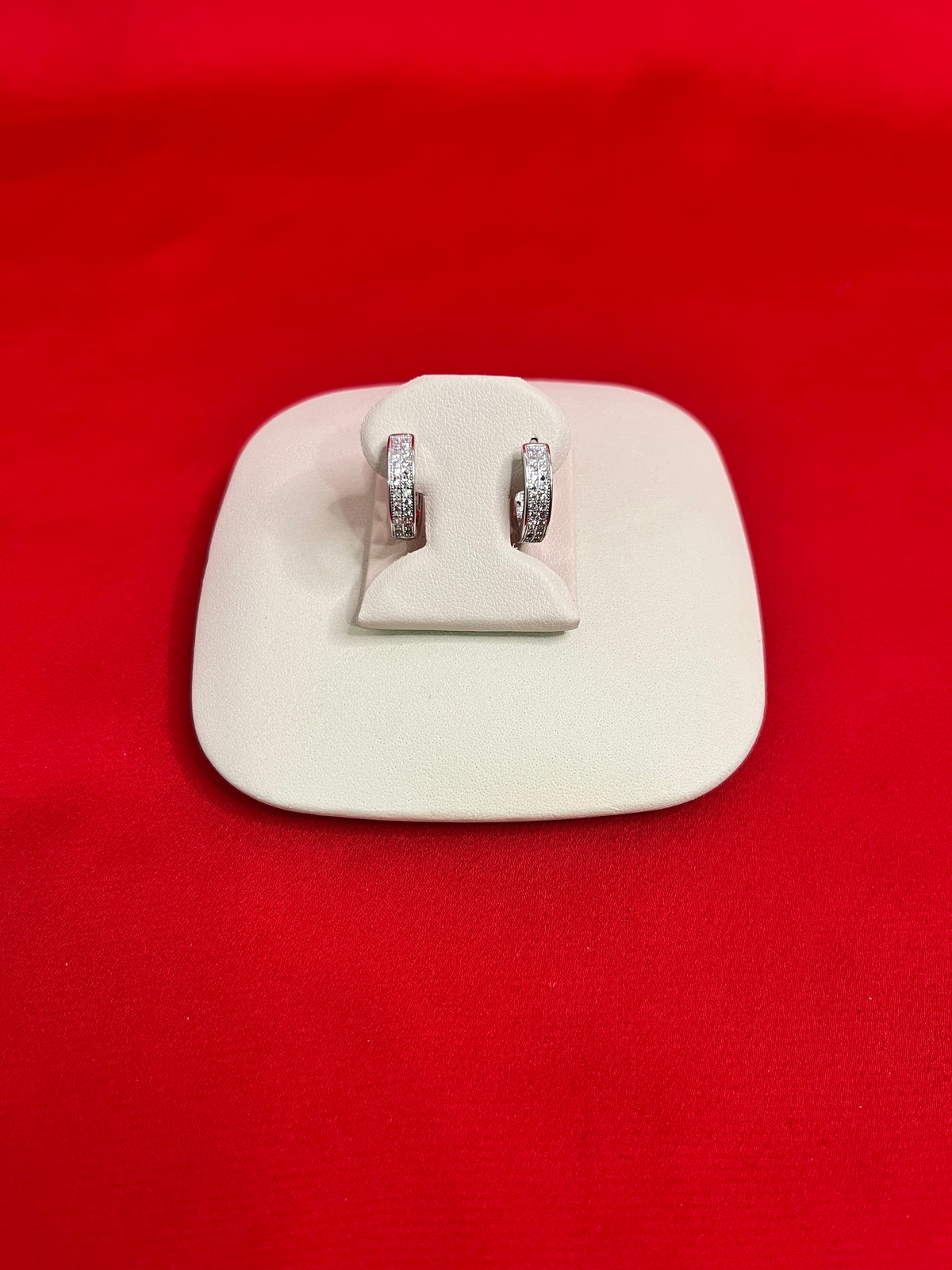 Pure Silver Hoops Earrings (HE14)