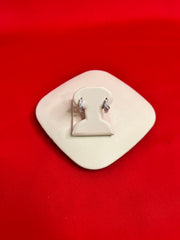 Pure Silver Hoops Earrings (HE67)