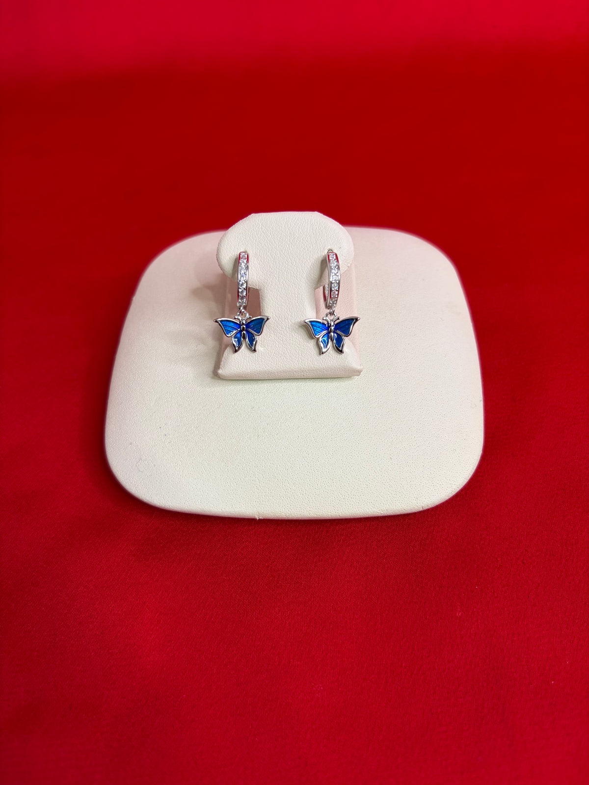 Pure Silver Hoops Earrings (HE49)