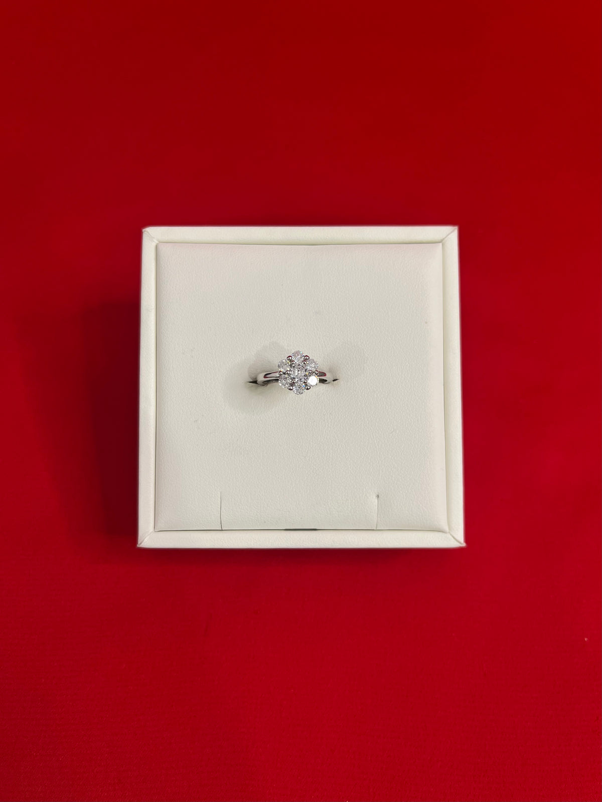 Pure Silver Ring (Size 5) WR62